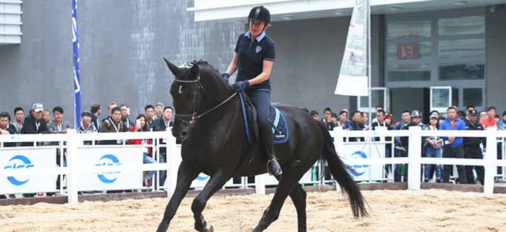2016年英伦骑士受邀参加北京第十届“CHF马展”之行圆满结束！