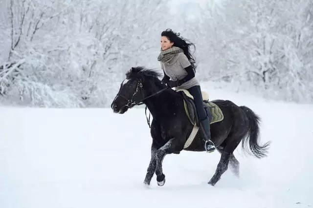 冬天，最适合骑马的季节