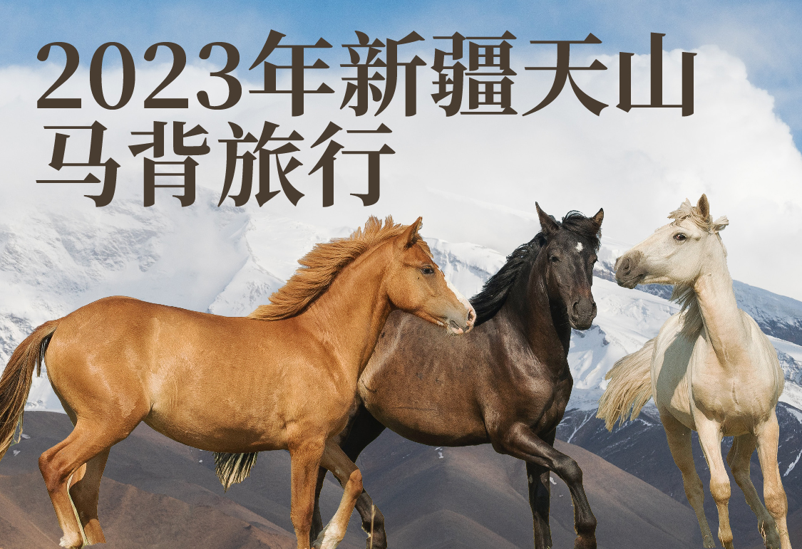 2023新疆天山马背旅行